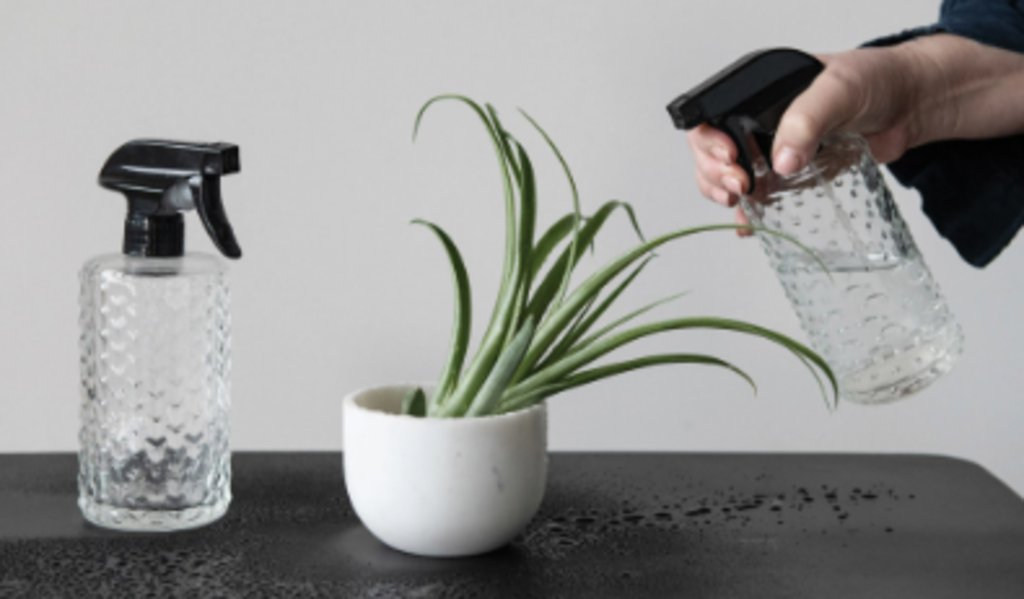 Embossed Glass Spray Bottle Housewares (kitchen)