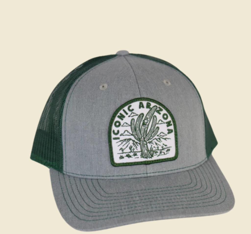 ICONIC ARIZONA Rise and Shine Curved Classic Snap Back Gray New * Regional | Hats Bags Accessories