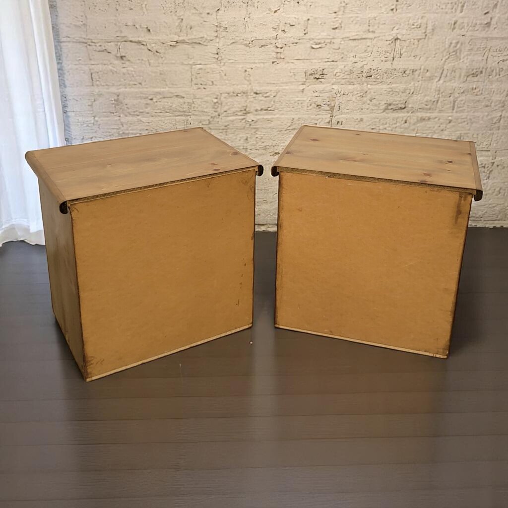 6622-6623 Southwestern Pine and Saguaro Rib 2 Drawer #Nightstand