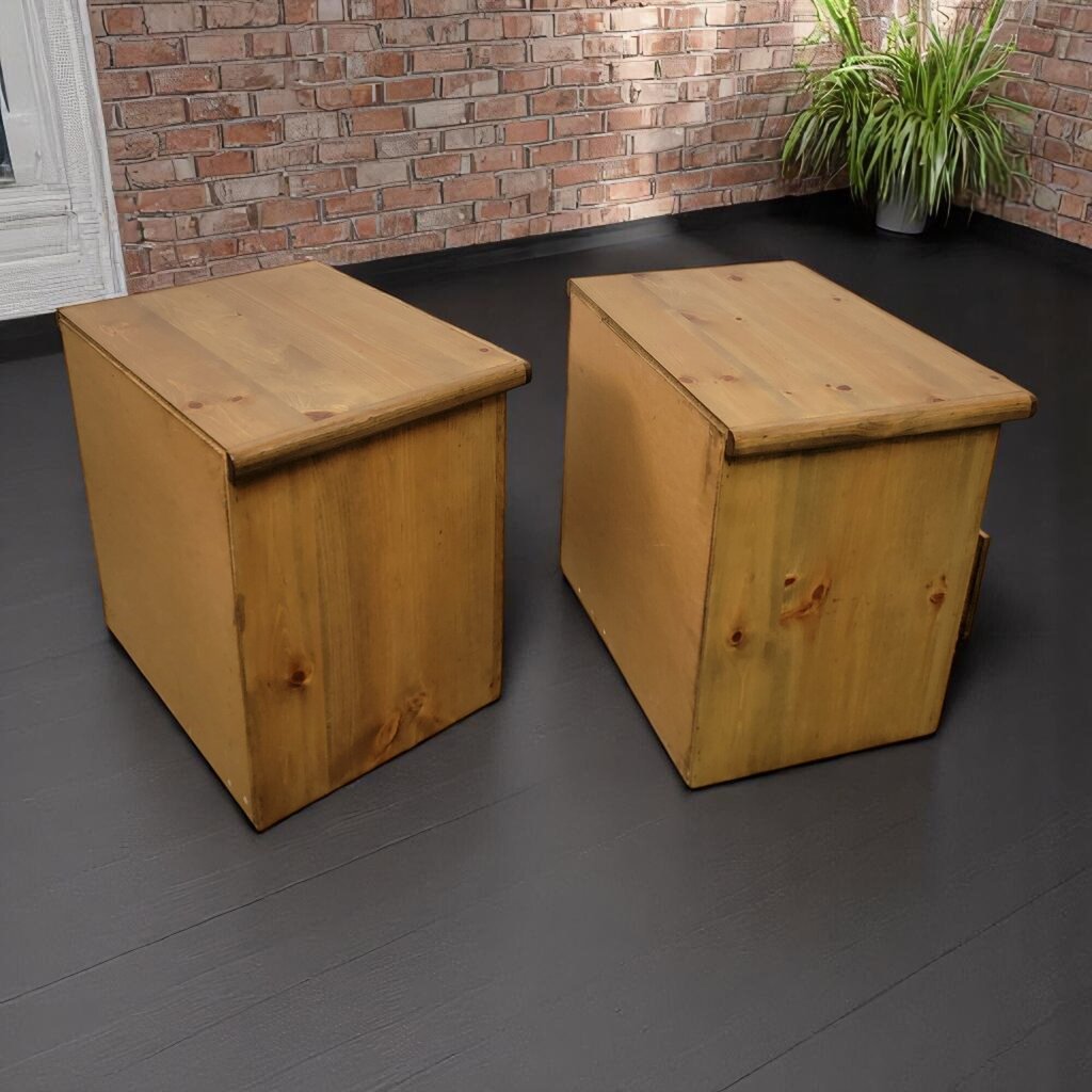 6622-6623 Southwestern Pine and Saguaro Rib 2 Drawer #Nightstand