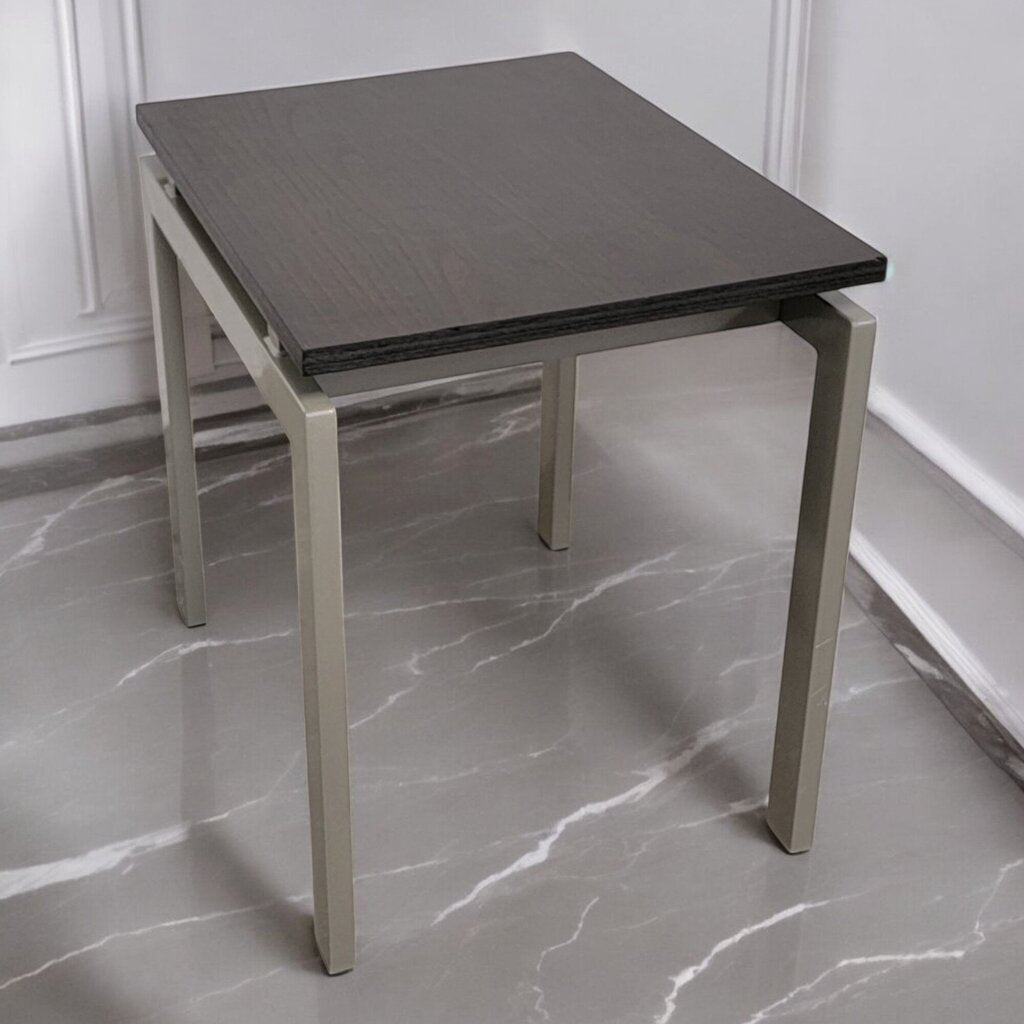 6901 Contemporary Metal and Birch Veneer Side Table ~ Furniture