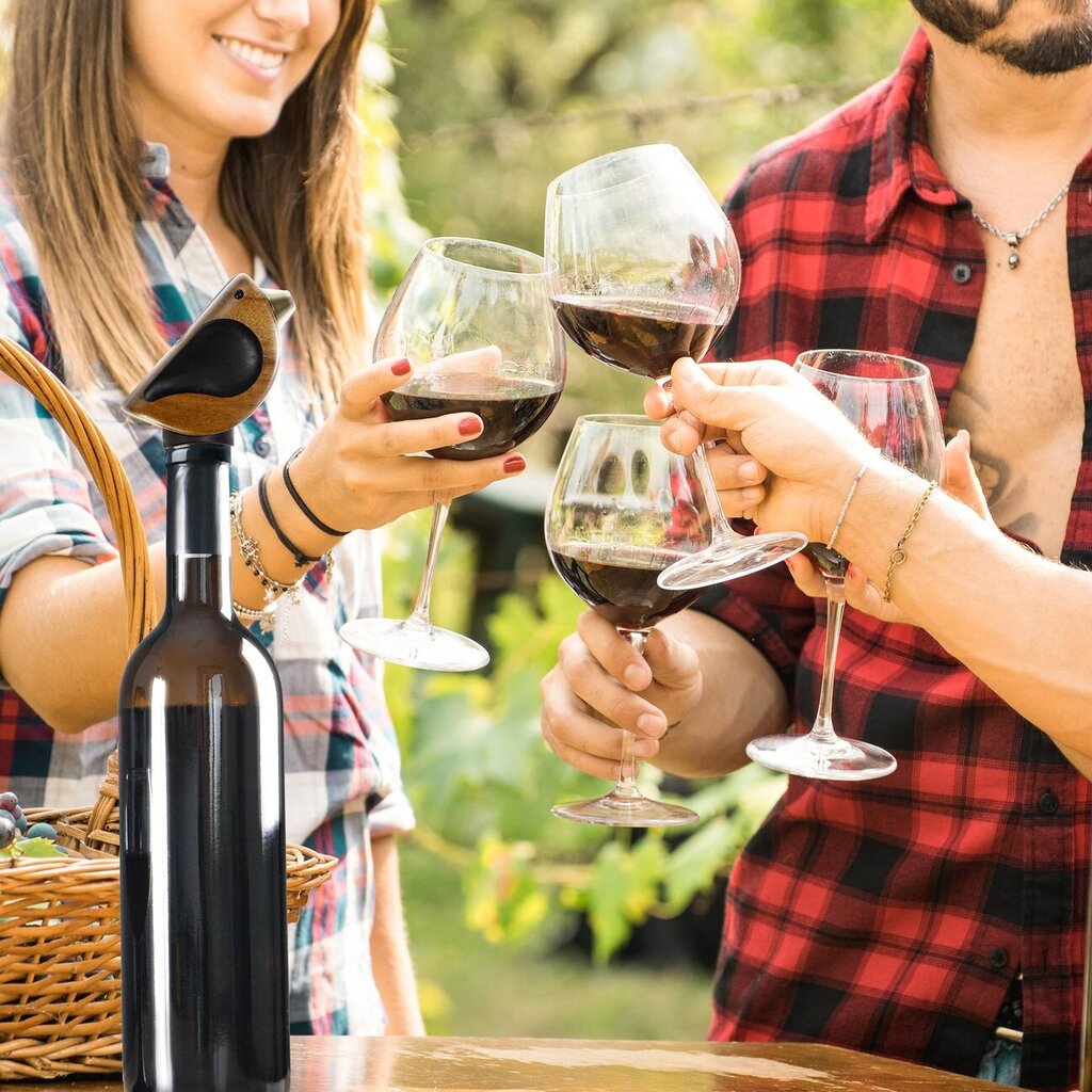 Songbird Specialties® "Singing" Bottle Pourer HOUSEWARES *Wholesale* BUTTERFLY