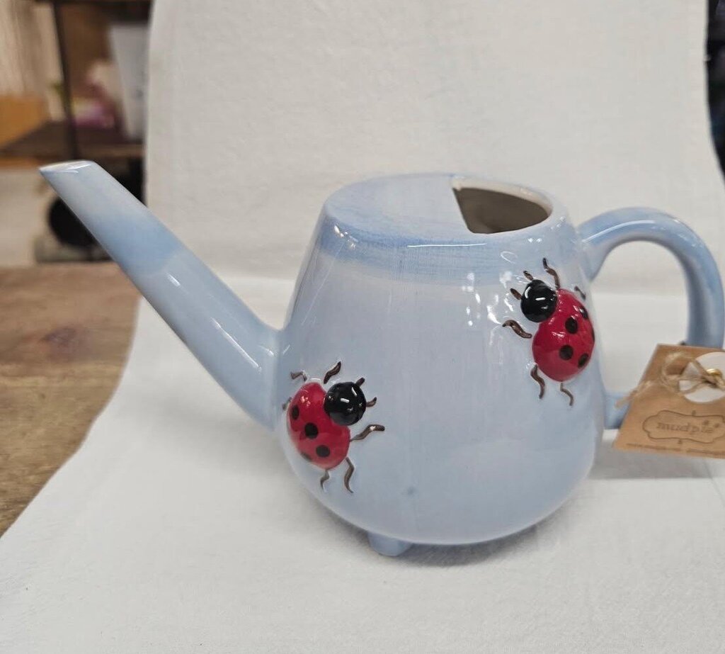 Lady Bug Watering Can
