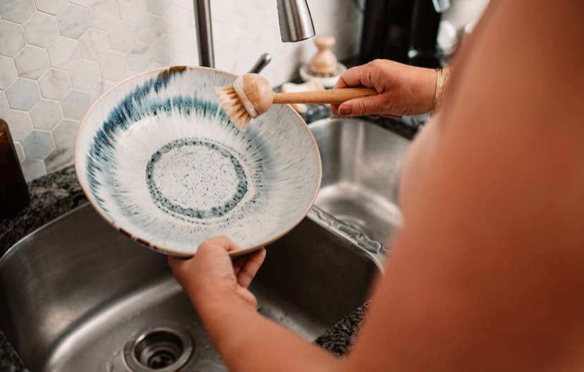 New Bamboo Long Handle Dish Brush