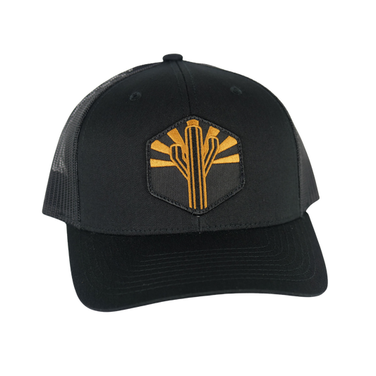 Copper Sentinel Curved Trucker - Black